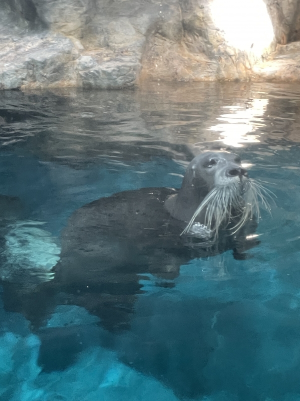 RITSUKI（ﾘﾂｷ） にがてなこと