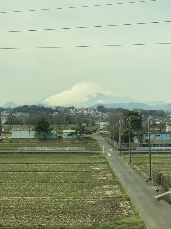 MISAKA(ﾐｻｶ) 多分富士山