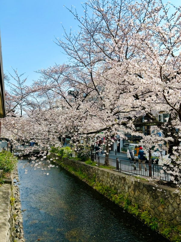 GION（ｷﾞｵﾝ） 🌸