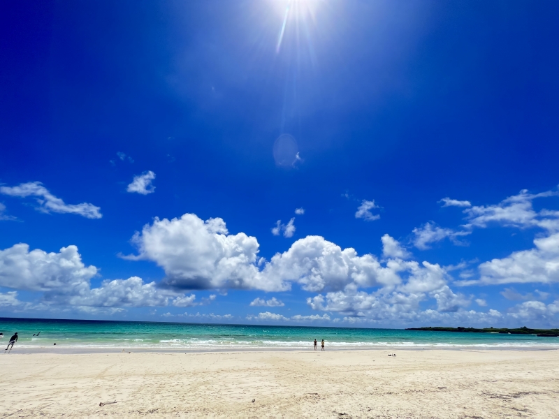 WAKA(ワカ) 冬なのに😂