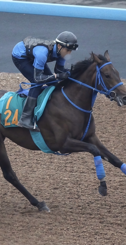 RAIMU(ライム) らいむの過去