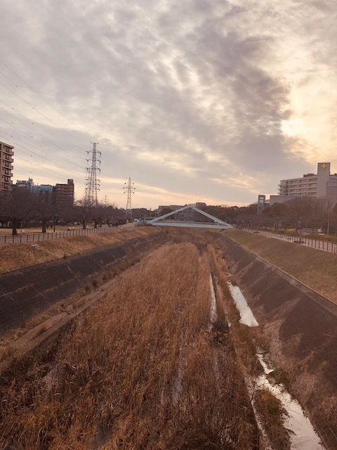 MAIRO（ﾏｲﾛ) 空が