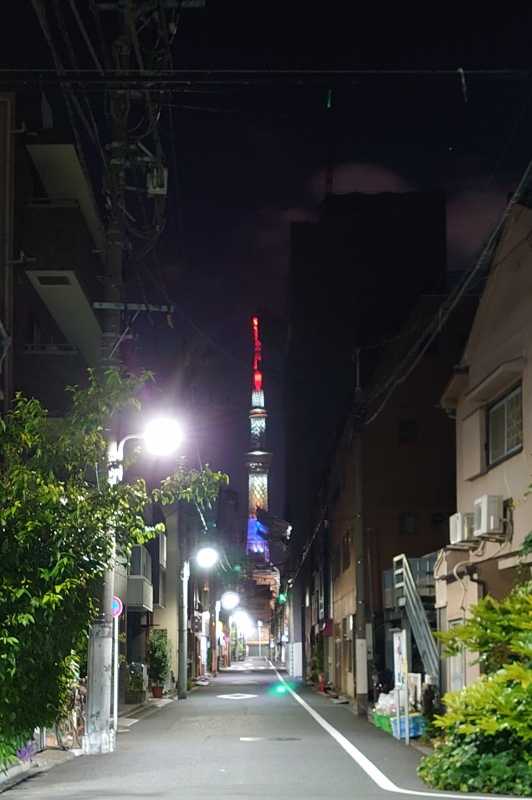 KOYOI(ｺﾖｲ) 今日のスカツリは？