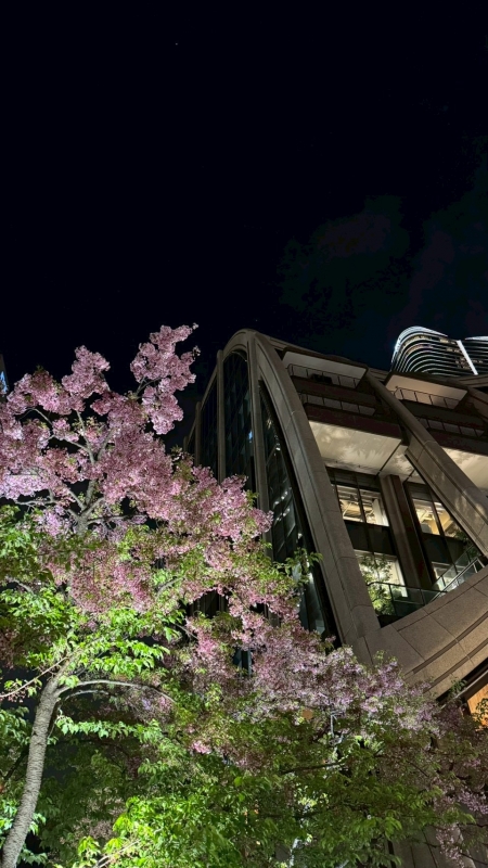 KAREN(ｶﾚﾝ) 🌸3月を終えて4月へ🌸