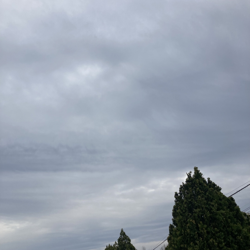 MIRAI(ミライ) 今日は◯◯