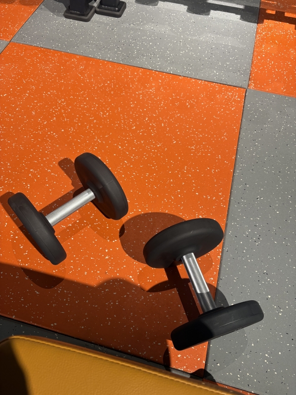 SHINGETSU(ｼﾝｹﾞﾂ) 朝からダンベル