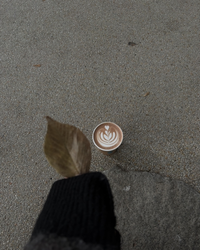 MASH(ﾏｯｼｭ) Ⅱ