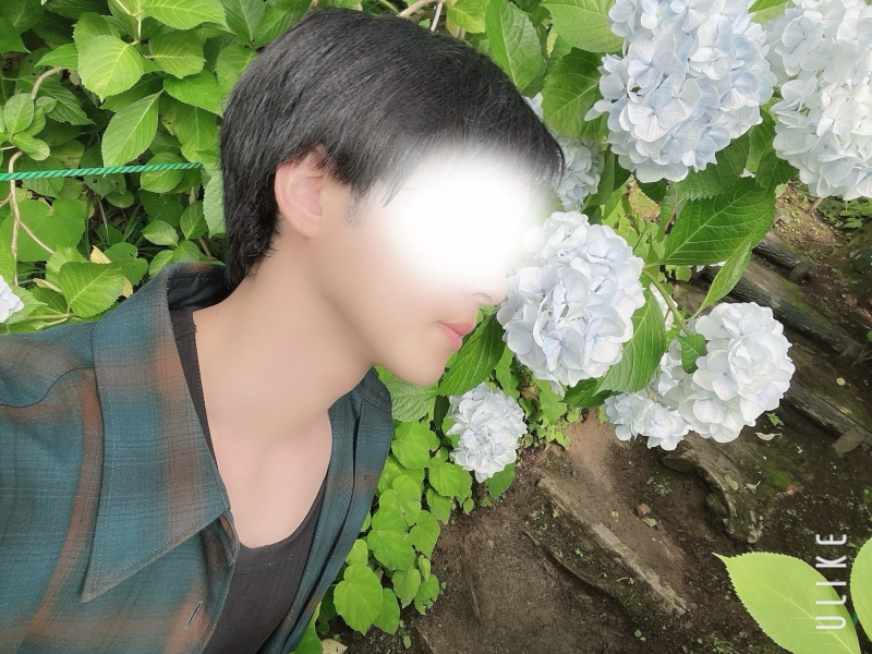 NOEL(ノエル) 白の紫陽花咲いてました💐