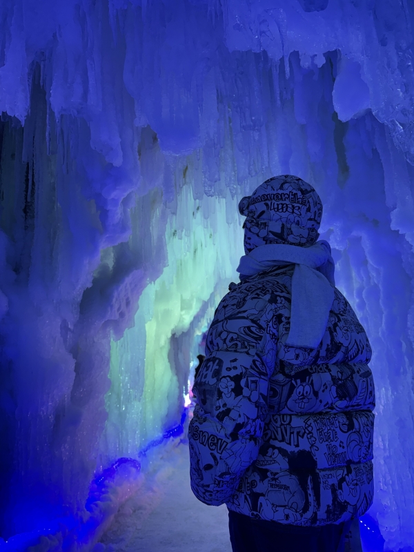 ARASHI(ｱﾗｼ) 【幻想】