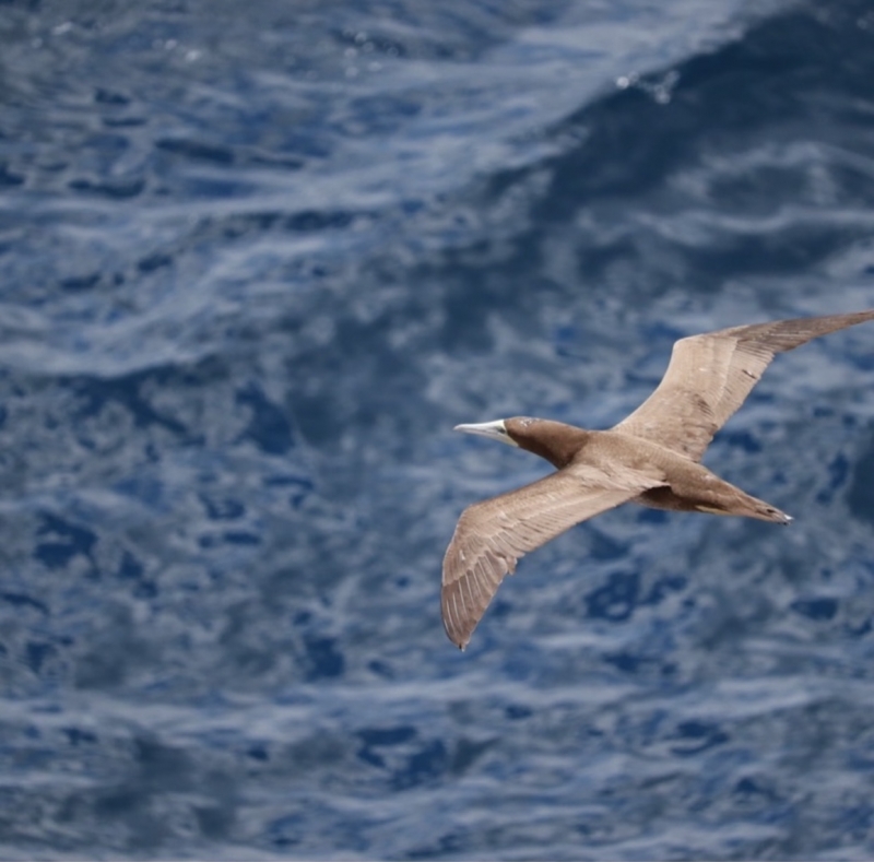 ITSUKI(イツキ) 伸び伸びと…