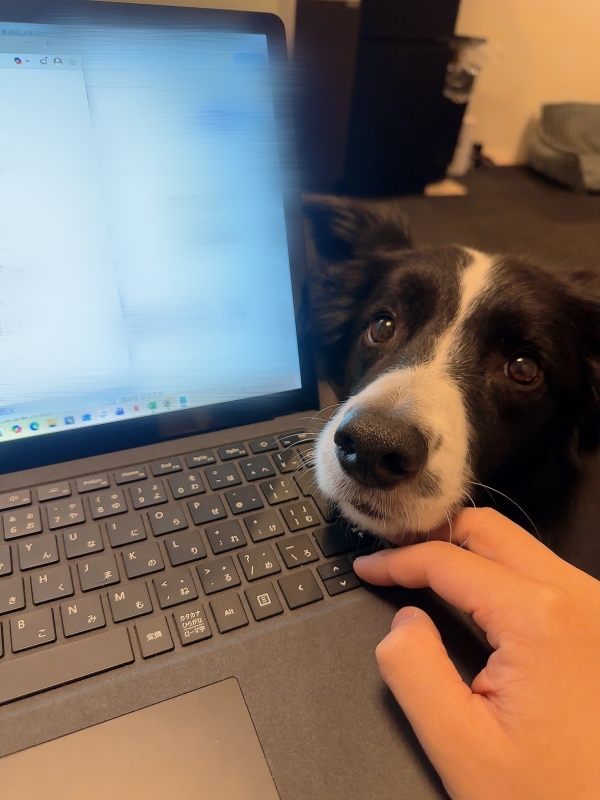 ATSUMU（ｱﾂﾑ） かわいい子