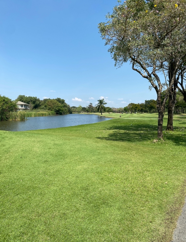 KANKI(ｶﾝｷ) タイゴルフ