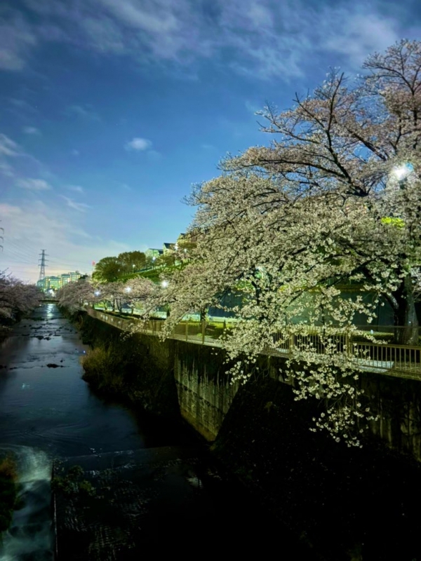 MIFUYU(ﾐﾌﾕ) ギリギリセーフ！！