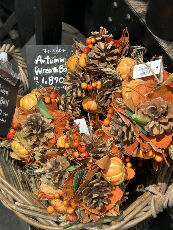 TOWA(トワ) オレンジ色の季節🍊