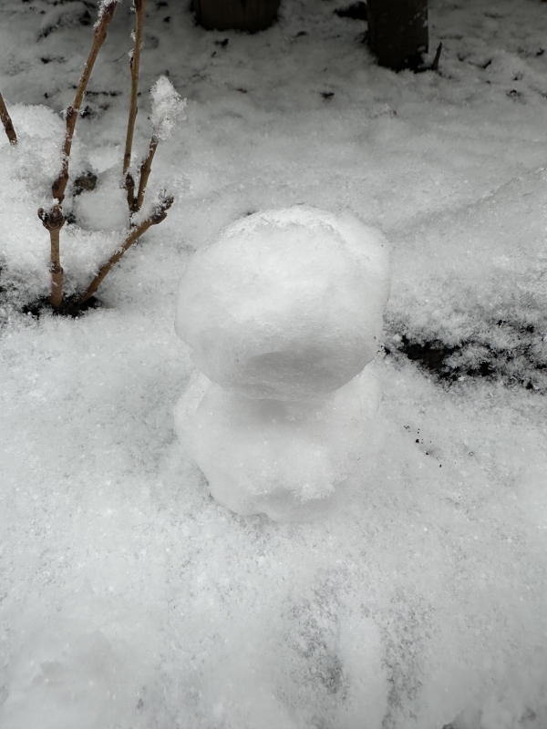 KAGA(ｶｶﾞ) キャス