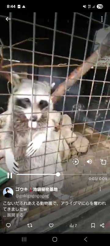 GOUKI(ゴウキ) ここでは動画upできないんだね😭Xで動画あり