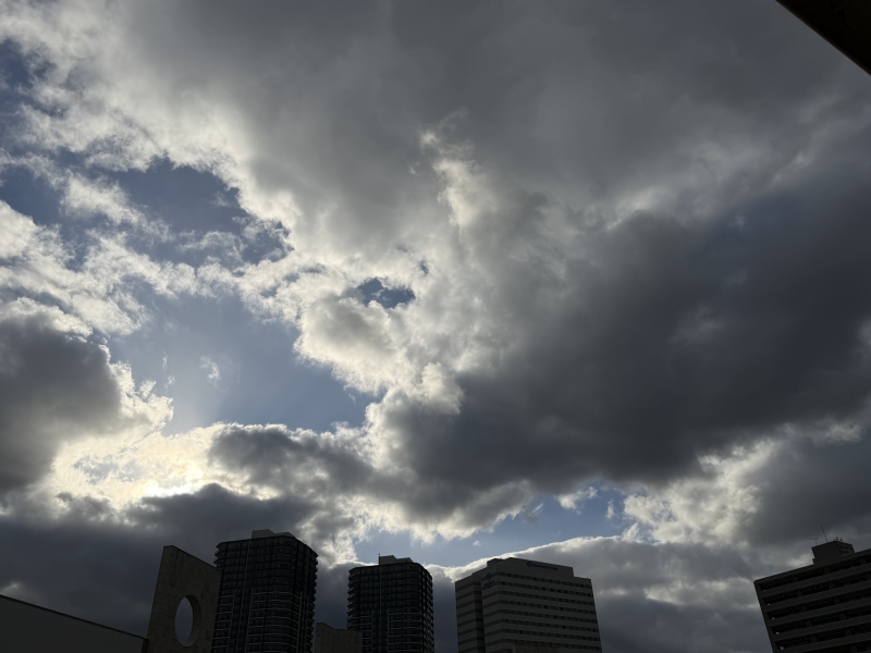 SHION(ｼｵﾝ) 2月