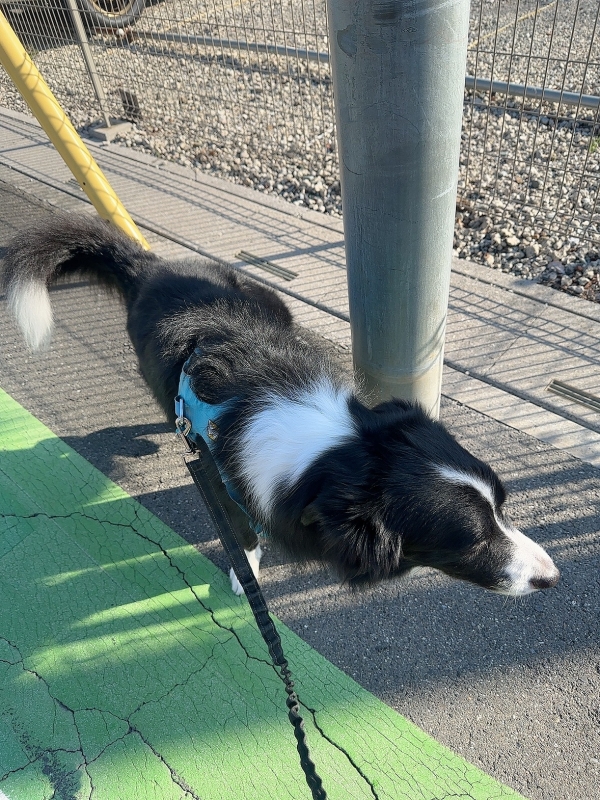 ATSUMU（ｱﾂﾑ） 固定観念の話