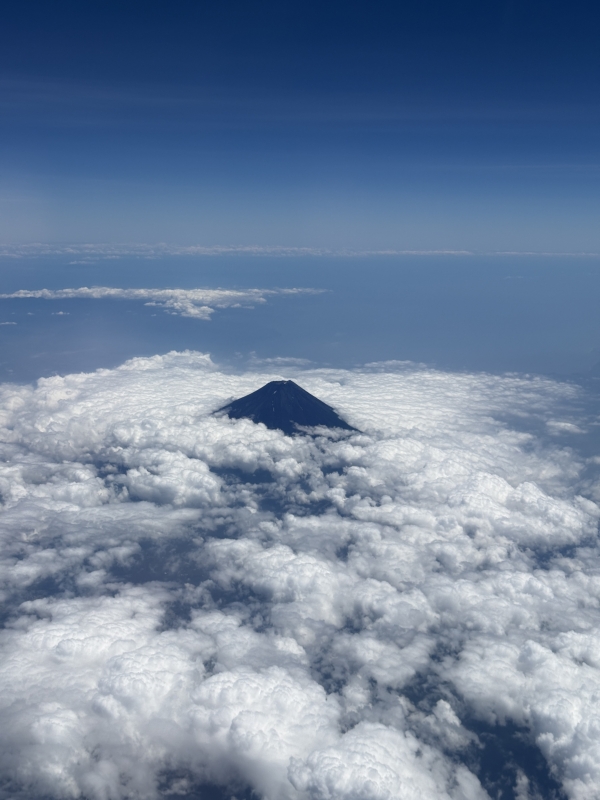 SENA(セナ) 運気上がりそう🏔´-