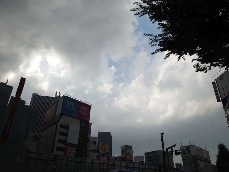 KOYOI(ｺﾖｲ) 新宿