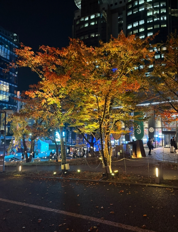 HIROYO(ヒロヨ) 紅葉は好きですか?