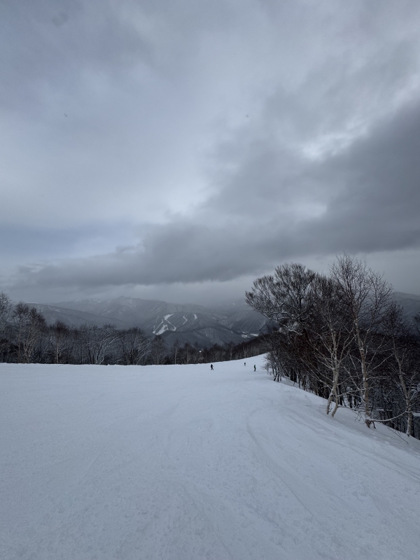 WAKA(ﾜｶ) 今日からスノボー始めました！