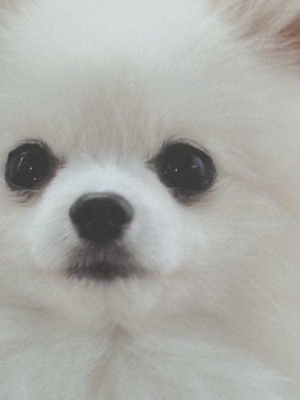 TOMOYA（ﾄﾓﾔ） ここはどこでしょう