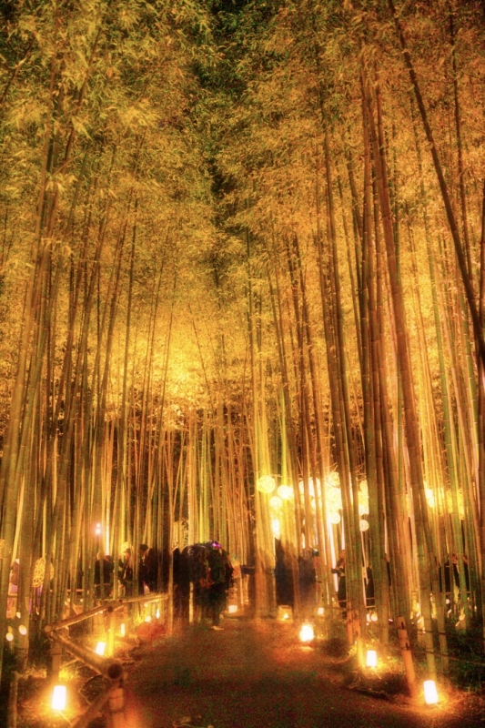 HANZO（ﾊﾝｿﾞｰ） 秋がない👀