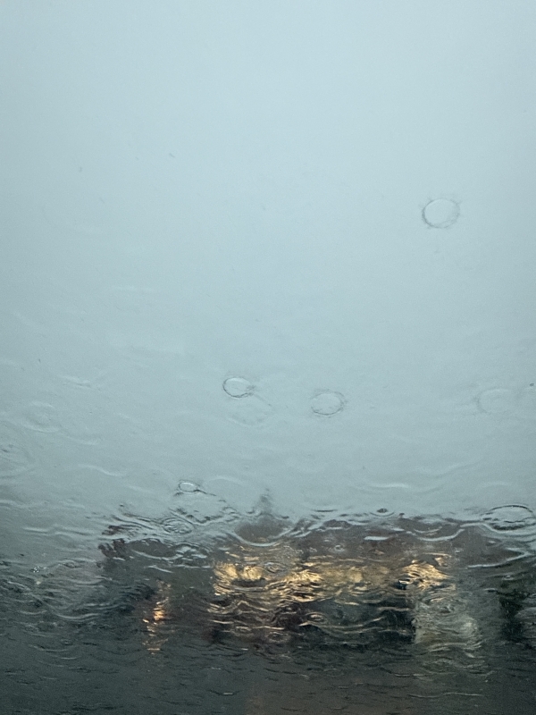 HISAKI(ヒサキ) 梅雨☂️