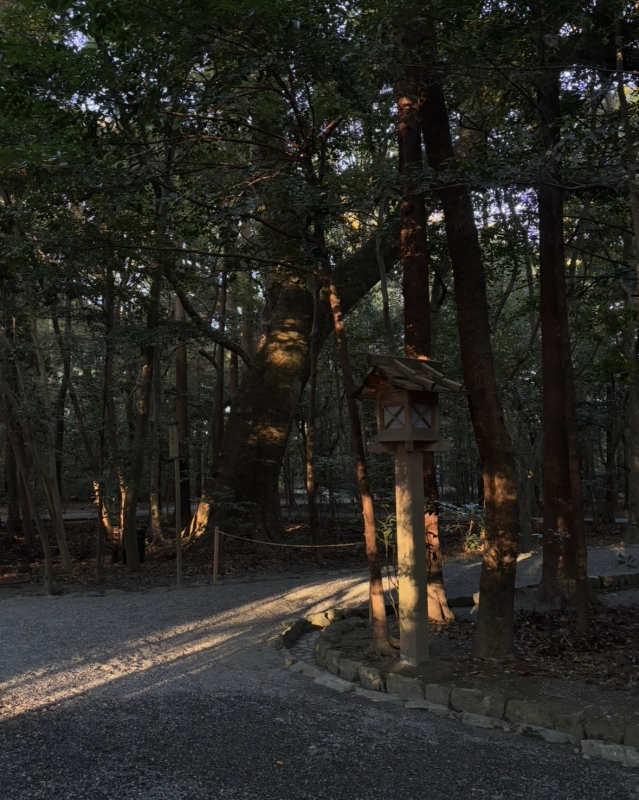 MASH(マッシュ) 木漏れ日がすき