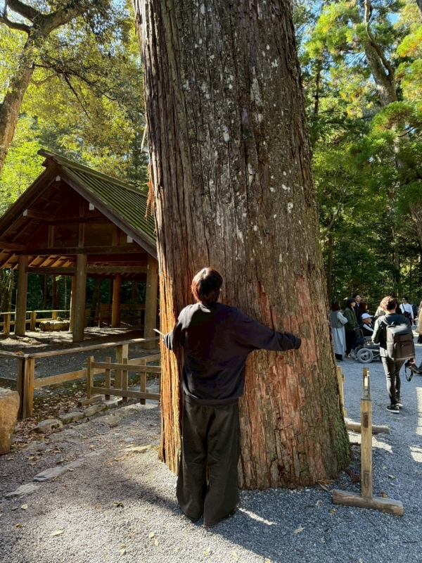 MASH(マッシュ) 大木と仲良しになってきた