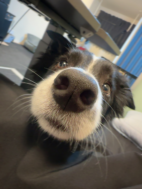 ATSUMU（ｱﾂﾑ） 視点