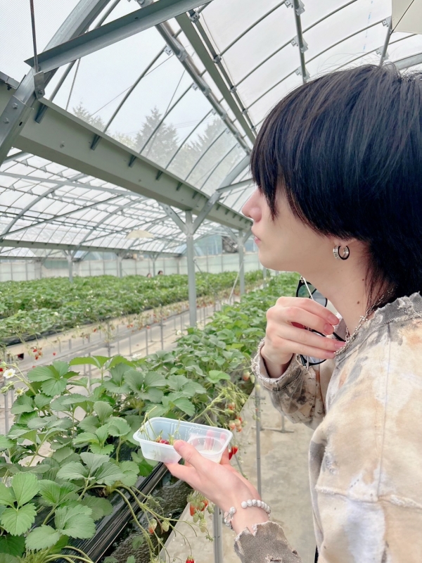 SHUSUKE(ｼｭｳｽｹ) Xの仕様変更によりメッセージリクエストを