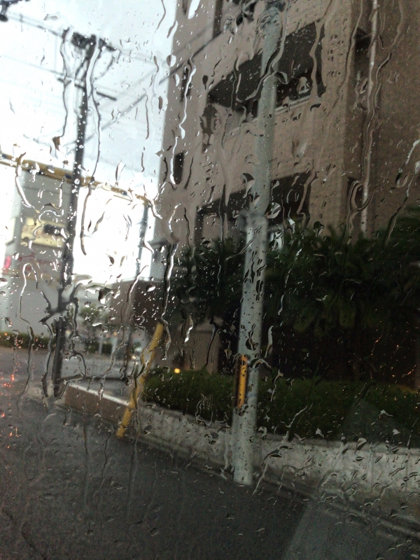 TOUYA(トウヤ) ゲリラ豪雨