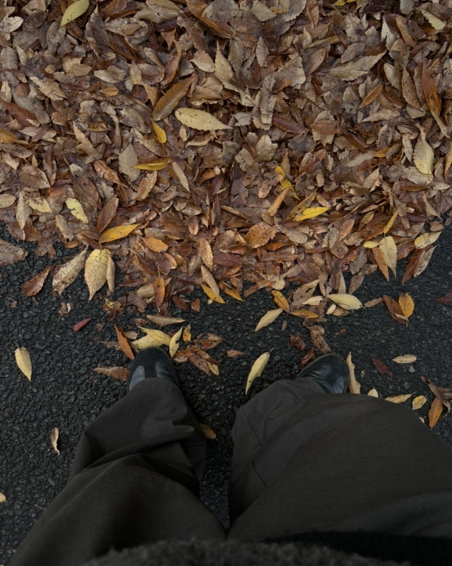 MASH(マッシュ) 秋🍂