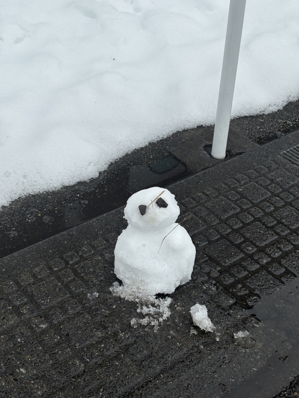 MASH(ﾏｯｼｭ) 地元でつくった雪だるま⛄️