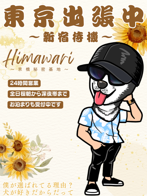 HIMAWARI(ﾋﾏﾜﾘ) 新宿待機中です٩( 'ω' )و