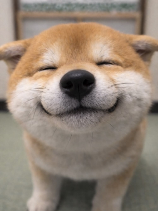MERU(ﾒﾙ) 待ってるよん