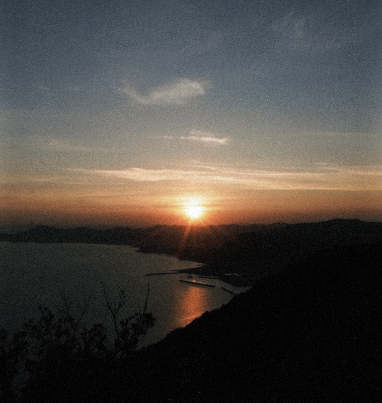 YUZU(ﾕｽﾞ) 2026年