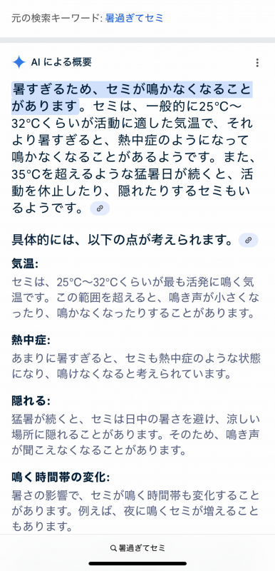 MIKITO(ミキト) 一緒に最高の夏にしよーな!