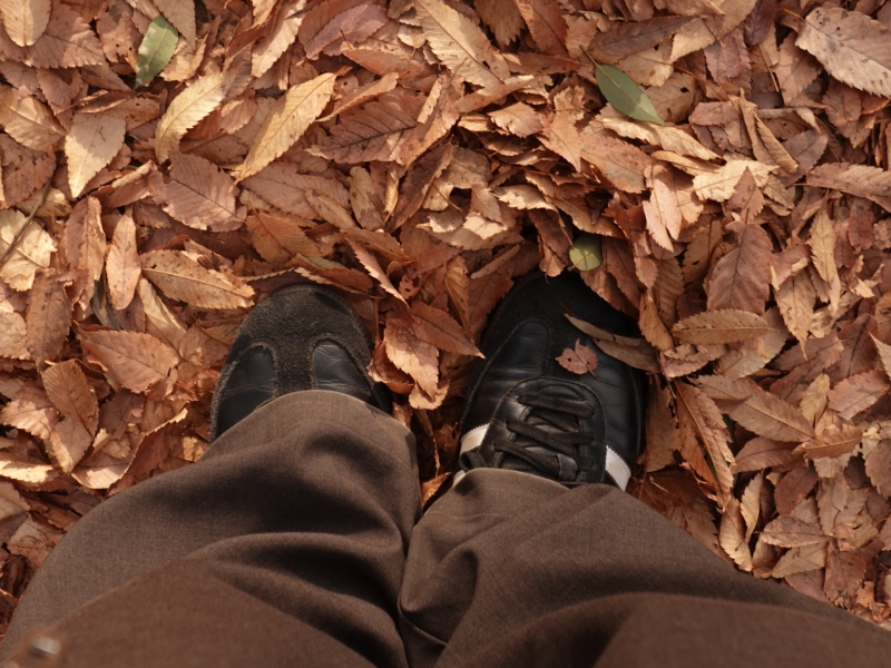 MASH(マッシュ) 駒沢オリンピック公園をお散歩💭