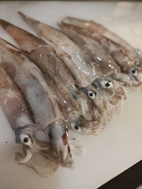 SUBARU(ｽﾊﾞﾙ) 本業では