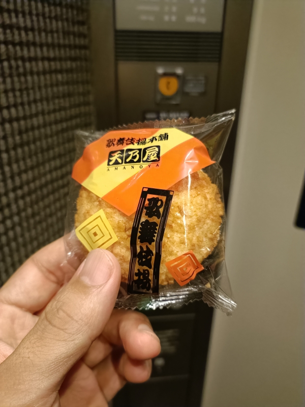 IEYASU(ｲｴﾔｽ) 【day8 どうする？いえやす日記】