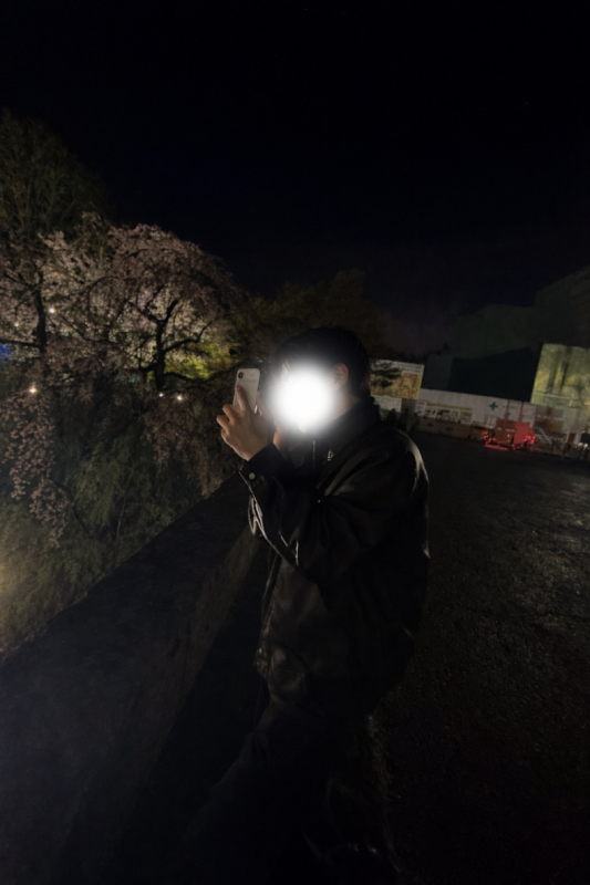 MINATO(ﾐﾅﾄ) 夜桜