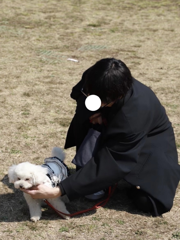 MASH(マッシュ) 犬にモテたい、、