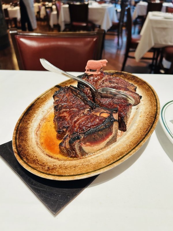 IKUTO(イクト) こんにちは😊