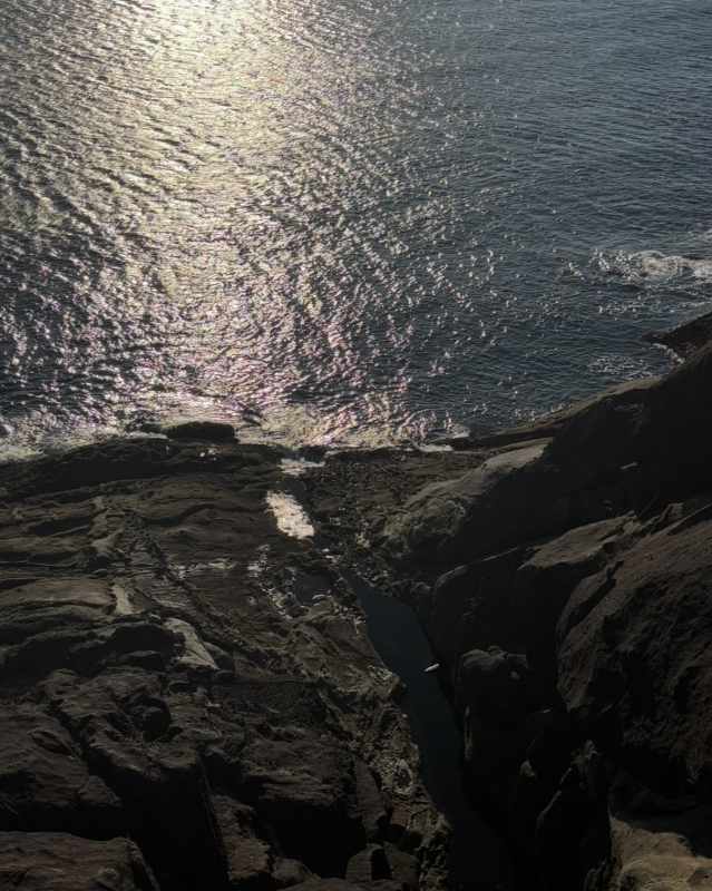 MASH(マッシュ) 鬼ヶ城