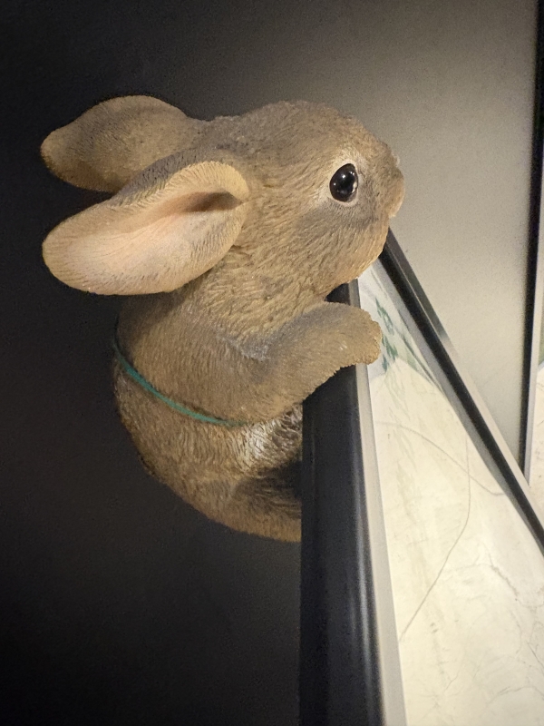 SASARA(ｻｻﾗ) うさぎ
