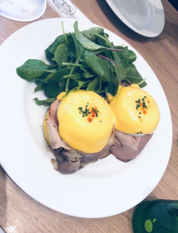 JUN(ｼﾞｭﾝ) protein