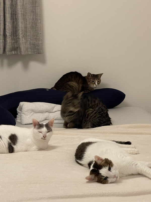 MINORI(ﾐﾉﾘ) 恐ろしく速い動き、俺でなきゃ見逃しちゃうね